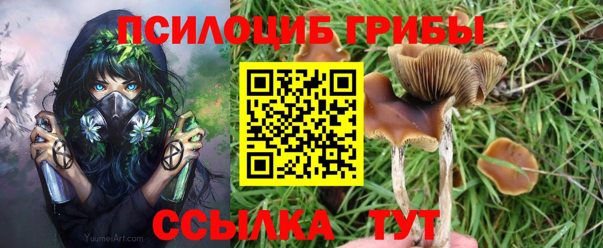 Галлюциногенные грибы мухоморы Ленинск-Кузнецкий
